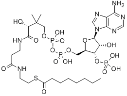 structure of CAS# 1264-52-4, Coenzyme A S-Octanoate;S-[2-[3-[[(2R)-4-[[[(2R,3S,4R,5R)-5-(6-Aminopurin-9-Yl)-4-Hydroxy-3-Phosphonooxy-Tetrahydrofuran-2-Yl]Methoxy-Hydroxy-Phosphoryl]Oxy-Hydroxy-Phosphoryl]Oxy-2-Hydroxy-3,3-Dimethyl-Butanoyl]Amino]Propanoylamino]Ethyl] Octanethioate;Octanethioic Acid S-[2-[[3-[[(2R)-4-[[[(2R,3S,4R,5R)-5-(6-Amino-9-Purinyl)-4-Hydroxy-3-Phosphonooxy-2-Tetrahydrofuranyl]Methoxy-Hydroxyphosphoryl]Oxy-Hydroxyphosphoryl]Oxy-2-Hydroxy-3,3-Dimethyl-1-Oxobutyl]Amino]-1-Oxopropyl]Amino]Ethyl] Ester;Octanethioic Acid S-[2-[3-[[(2R)-4-[[[(2R,3S,4R,5R)-5-(6-Aminopurin-9-Yl)-4-Hydroxy-3-Phosphonooxy-Tetrahydrofuran-2-Yl]Methoxy-Hydroxy-Phosphoryl]Oxy-Hydroxy-Phosphoryl]Oxy-2-Hydroxy-3,3-Dimethyl-Butanoyl]Amino]Propanoylamino]Ethyl] Ester