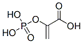 CAS#: 138-08-9， 2-(Phosphonooxy)-2-Propenoic Acid