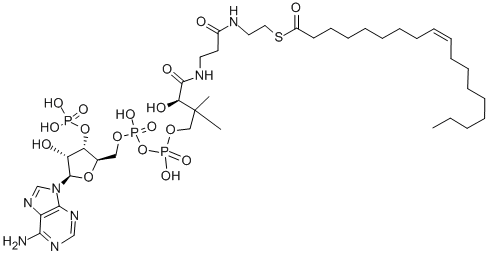 CAS#: 1716-06-9， cis-9-Octadecenoyl Coenzyme A Potassium Salt