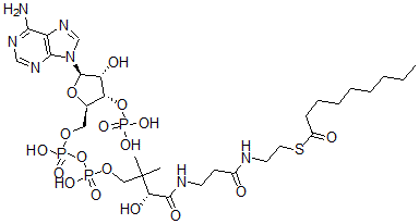 CAS#: 17331-98-5， Nonanoyl-Coenzyme A