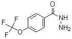 structure of CAS# 175277-18-6, 4-(Trifluoromethoxy)-Benzoic Acid Hydrazide;4-(Trifluoromethoxy)Benzoic Acid Hydrazide 95%;4-(Trifluoromethoxy)Benzene-1-Carbohydrazide;4-(Trifluoromethoxy)Benzoicacidhydrazide95%
