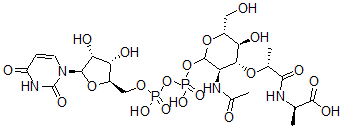 CAS#: 1941-66-8， Udp-N-Acetylmuramylalanine