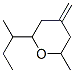 CAS#: 24237-02-3， 2-Butyltetrahydro-6-Methyl-4-Methylene-2H-Pyran