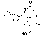 CAS#: 25249-56-3， Poly(N-Acetylglucosamine 1-Phosphate)