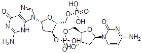 structure of CAS# 36786-90-0, [(2R,3S,5R)-5-(2-Amino-6-Oxo-3H-Purin-9-Yl)-2-(Phosphonooxymethyl)Oxolan-3-Yl] [(2R,3S,5R)-5-(4-Amino-2-Oxopyrimidin-1-Yl)-3-Hydroxyoxolan-2-Yl]Methyl Hydrogen Phosphate;[(2R,3S,5R)-5-(2-Amino-6-Oxo-3H-Purin-9-Yl)-2-(Phosphonooxymethyl)Tetrahydrofuran-3-Yl] [(2R,3S,5R)-5-(4-Amino-2-Oxo-Pyrimidin-1-Yl)-3-Hydroxy-Tetrahydrofuran-2-Yl]Methyl Hydrogen Phosphate;[(2R,3S,5R)-5-(2-Amino-6-Oxo-3H-Purin-9-Yl)-2-(Phosphonooxymethyl)-3-Tetrahydrofuranyl] [(2R,3S,5R)-5-(4-Amino-2-Oxo-1-Pyrimidinyl)-3-Hydroxy-2-Tetrahydrofuranyl]Methyl Hydrogen Phosphate;[(2R,3S,5R)-5-(2-Amino-6-Keto-3H-Purin-9-Yl)-2-(Phosphonooxymethyl)Tetrahydrofuran-3-Yl] [(2R,3S,5R)-5-(4-Amino-2-Keto-Pyrimidin-1-Yl)-3-Hydroxy-Tetrahydrofuran-2-Yl]Methyl Hydrogen Phosphate