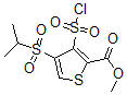 structure of CAS# 423768-47-2, 3-(Chlorosulfonyl)-4-[(1-Methylethyl)Sulfonyl]-2-Thiophenecarboxylic Acid Methyl Ester;Methyl 3-Chlorosulfonyl-4-(Isopropylsulfonyl)Thiophene-2-Carboxylate, 95%;Methyl 3-(Chlorosulphonyl)-4-(Isopropylsulphonyl)-2-Thiophenecarboxylate;METHYL 3-(CHLOROSULFONYL)-4-(ISOPROPYLSULFONYL)-2-THIOPHENECARBOXYLATE