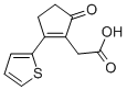 结构式 CAS# 436086-95-2, (5-氧代-2-噻吩-2-基-环戊-1-烯基)-乙酸