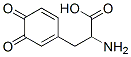 CAS#: 4430-97-1， 2-Amino-3-(3,4-Dioxo-1-Cyclohexa-1,5-Dienyl)-Propanoic Acid