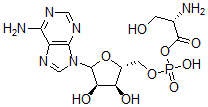 CAS#: 52435-67-3， L-Seryl-Amp
