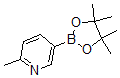 structure of CAS# 610768-32-6, 6-Methylpyridine-3-boronic acid pinacol ester;2-Methyl-5-(4,4,5,5-Tetramethyl-1,3,2-Dioxaborolan-2-Yl)Pyridine, 2-Methylpyridine-5-Boronic Acid, Pinacol Ester;Pyridine, 2-Methyl-5-(4,4,5,5-Tetramethyl-1,3,2-Dioxaborolan-2-Yl)-;2-Methyl-5-(4,4,5,5-Tetramethyl-1,3,2-Dioxaborolan-2-Yl)Pyridine