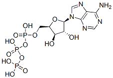 CAS 登录号：653-60-1， 9-beta-木糖基呋喃糖基腺嘌呤 5'-三磷酸酯