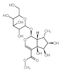 CAS#: 67244-49-9， Pulchelloside I
