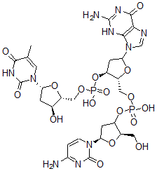 CAS#: 71002-61-4， Deoxy(Cytidylyl-Guanylyl-Thymidylic Acid)