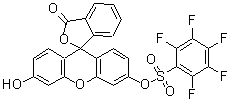 结构式 CAS# 728912-45-6, 6'-羟基-3-氧代-3H-螺[2-苯并呋喃-1,9'-氧杂蒽]-3'-基五氟苯磺酸酯