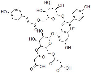 CAS 登录号：73545-87-6， 3-[(2R,3S,4R,5R,6S)-4,5-二羟基-6-[7-羟基-2-(4-羟基苯基)-3-[(2S,3R,4S,5S,6R)-3,4,5-三羟基-6-[[(E)-3-(4-羟基苯基)丙-2-烯酰基]氧基甲基]四氢吡喃-2-基]氧基苯并吡喃基鎓-5-基]氧基-2-[(3-羟基-3-氧代丙酰)氧基甲基]四氢吡喃-3-基]氧基-3-氧代丙酸
