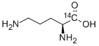CAS#: 77882-82-7， L-Ornithine, [1-14 C]