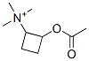 CAS#: 82588-29-2， 2-Acetoxycyclobutyltrimethylammonium
