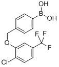 structure of CAS# 849062-05-1, 4-[(2'-Chloro-5'-(Trifluoromethyl)Phenoxy)Methyl]Phenylboronic Acid;(2'-Chloro-5'-(Trifluoromethyl)Phenoxy)Methylphenylboronic Acid