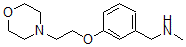 structure of CAS# 857284-10-7, N-Methyl-3-[2-(4-Morpholinyl)Ethoxy]-Benzenemethanamine;N-Methyl-N-[3-(2-Morpholin-4-Ylethoxy)Benzyl]Amine 97%;N-METHYL-N-[3-(2-MORPHOLIN-4-YLETHOXY)BENZYL]AMINE