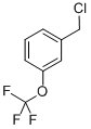 结构式 CAS# 89807-43-2, 3-(三氟甲氧基)苄基氯化物