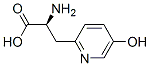 CAS#: 943-82-8， beta-(5-Hydroxy-2-pyridyl)alanine