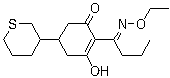 structure of CAS# 101205-02-1, Cycloxydim;Focus; Focus Plus; Focus Ultra; Laser; Stratos; 2-[1-(Ethoxyimino)butyl]-3-hydroxy-5-(tetrahydro-2H-thiopyran-3-yl)-2-cyclohexen-1-one
