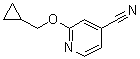 结构式 CAS# 1019568-08-1, 2-(环丙基甲氧基)-4-吡啶甲腈