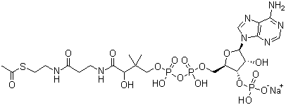 structure of CAS# 102029-73-2, Acetyl coenzyme A sodium salt