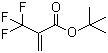 结构式 CAS# 105935-24-8, 2-三氟甲基丙烯酸叔丁酯