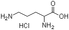 DL-鸟氨酸盐酸盐分子结构 (CAS 1069-31-4)