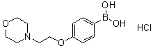 structure of CAS# 1072945-74-4, [4-[2-(4-Morpholinyl)ethoxy]phenyl]boronic acid hydrochloride (1:1)