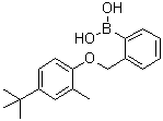 结构式 CAS# 1072951-76-8, [2-[[4-(叔丁基)-2-甲基苯氧基]甲基]苯基]硼酸