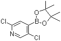structure of CAS# 1073353-98-6, 2,5-Dichloropyridine-4-boronic acid pinacol ester