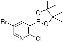 structure of CAS# 1073354-79-6, 5-Bromo-2-chloropyridine-3-boronic acid pinacol ester