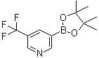 结构式 CAS# 1084953-47-8, 5-三氟甲基吡啶-3-硼酸频哪醇酯