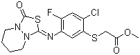 structure of CAS# 117337-19-6, Fluthiacet-methyl;Methyl 2-[2-chloro-4-fluoro-5-[(3-oxo-5,6,7,8-tetrahydro-[1,3,4]thiadiazolo[3,4-a]pyridazin-1-ylidene)amino]phenyl]sulfanylacetate