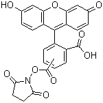 structure of CAS# 117548-22-8, 5(6)-Carboxyfluorescein N-succinimidyl ester