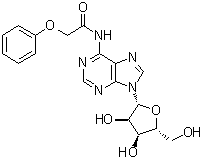 结构式 CAS# 119824-65-6, N-(苯氧基乙酰基)腺苷