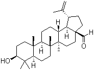 structure of CAS# 13159-28-9, 3beta-Hydroxy-Lup-20(30)-en-28-al