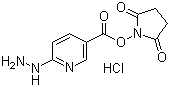 structure of CAS# 133081-27-3, Succinimidyl 6-hydrazinonicotinate hydrochloride;6-Hydrazinyl-3-pyridinecarboxylicacid 2,5-dioxo-1-pyrrolidinyl ester hydrochloride