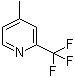 结构式 CAS# 1620-79-7, 4-甲基-2-(三氟甲基)吡啶