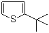 structure of CAS# 1689-78-7, 2-tert-Butylthiophene