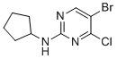 structure of CAS# 1823404-28-9, Ribociclib Impurity 18;5-bromo-4-chloro-N-cyclopentylpyrimidin-2-amine