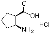 structure of CAS# 18414-30-7, cis-2-Amino-1-cyclopentanecarboxylic acid hydrochloride