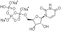 结构式 CAS# 19817-92-6, 尿苷-5'-三磷酸三钠盐