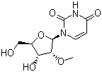 2'-O-Methyluridine molecular structure (CAS 2140-76-3)