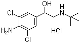 structure of CAS# 21898-19-1, Clenbuterol hydrochloride;4-Amino-alpha-[(tert-butylamino)methyl]-3,5-dichlorobenzyl alcohol monohydrochloride