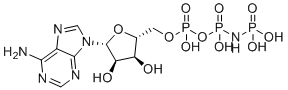 结构式 CAS# 25612-73-1, 磷酰氨基膦酸-腺苷酸酯
