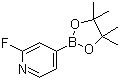 结构式 CAS# 458532-86-0, 2-氟吡啶-4-硼酸频哪醇酯