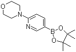 structure of CAS# 485799-04-0, 6-(Morpholin-4-yl)pyridine-3-boronic acid pinacol ester;4-[5-(4,4,5,5-Tetramethyl-1,3,2-dioxaborolan-2-yl)-2-pyridinyl]morpholine